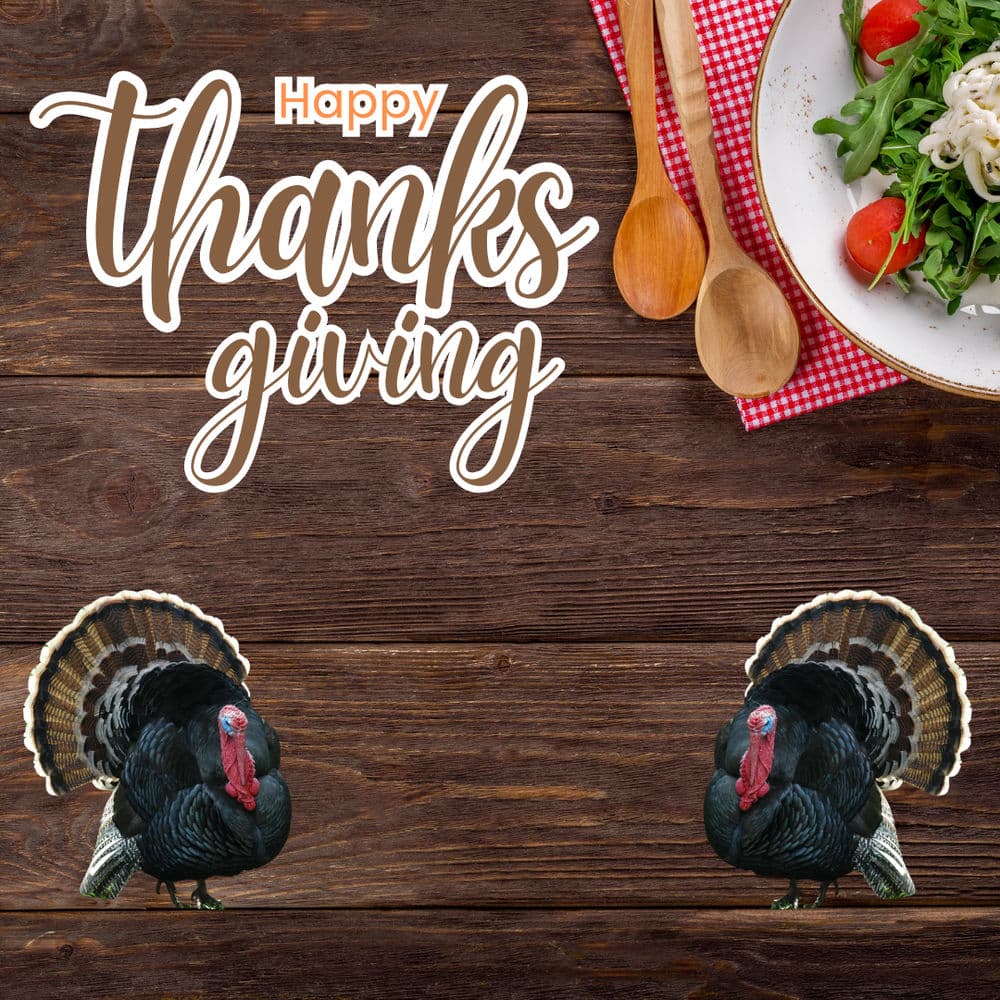 Project Happy Thanksgiving image