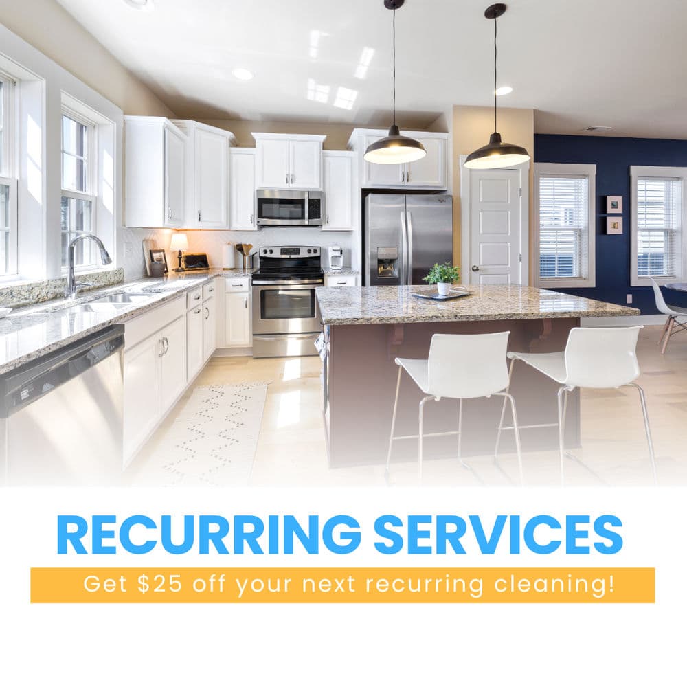 Project Recurring Services image