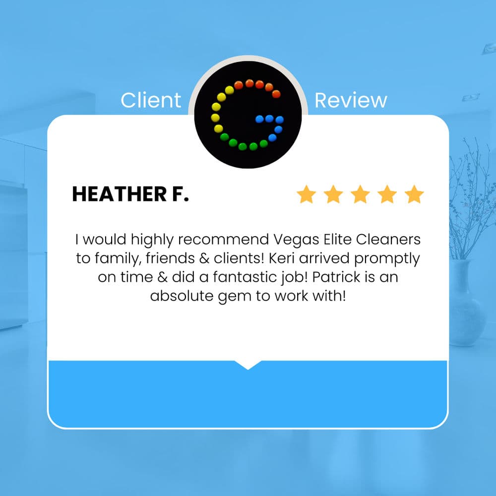 Project Vegas Elite Cleaners Client Review image