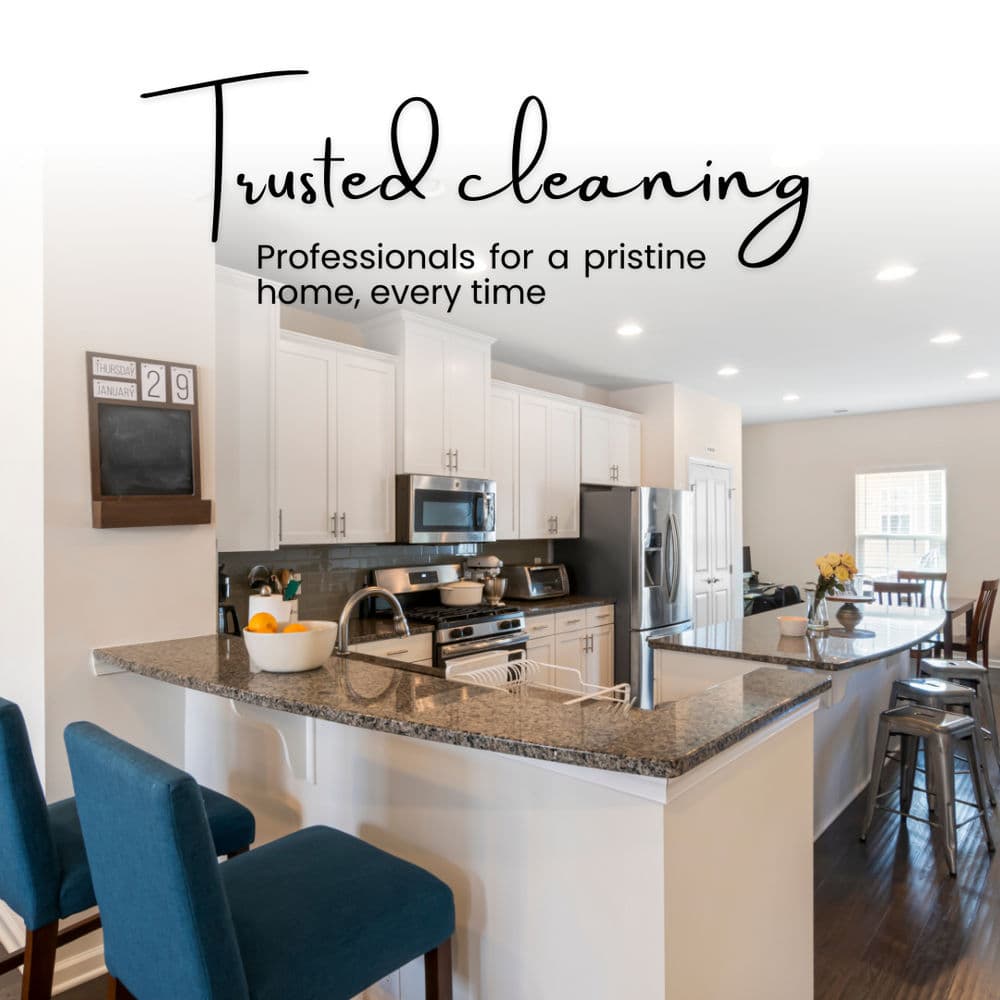 Project Home Kitchen Cleaning Service image