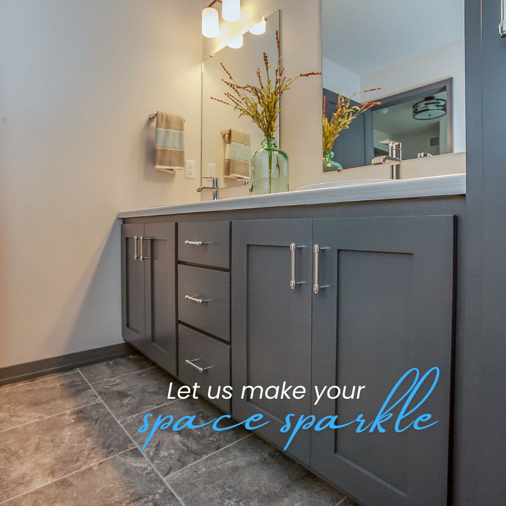 Project Bathroom Clean image