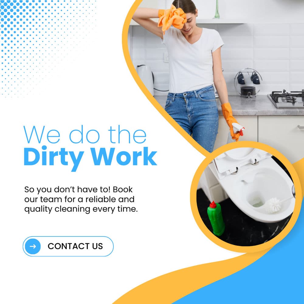 Project Vegas Elite Cleaners image